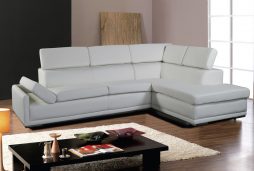 Leather Sectionals