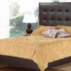 R161 Upholstered Leather Bed
